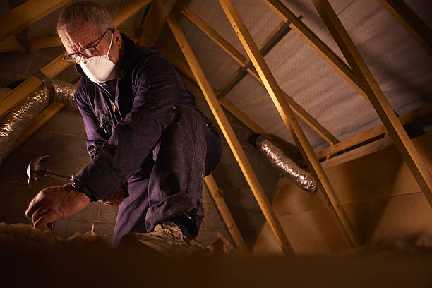 Best Commercial Insulation in Tifton, GA